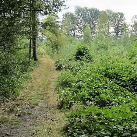 Het Appense Veld * Klarenbeek