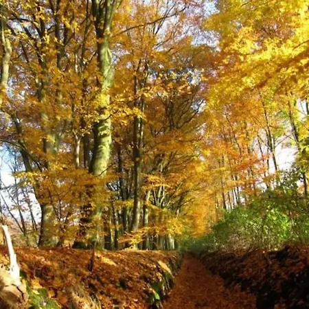 Het Appense Veld Appartement