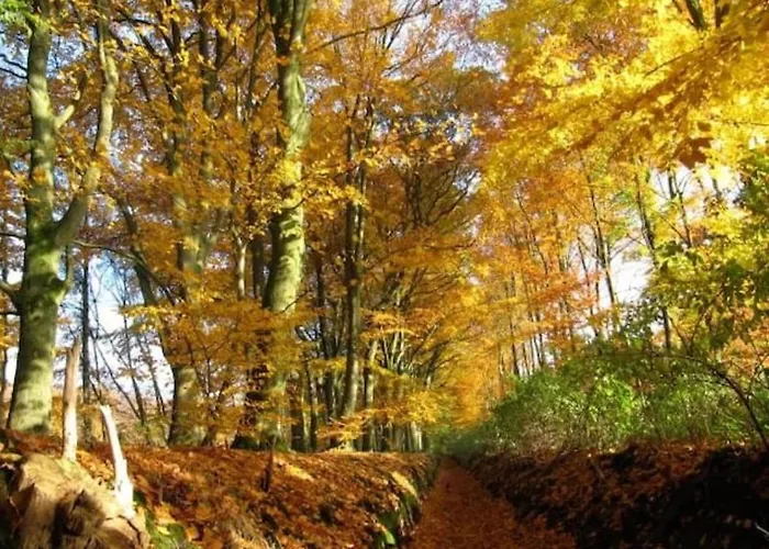 Het Appense Veld Appartement