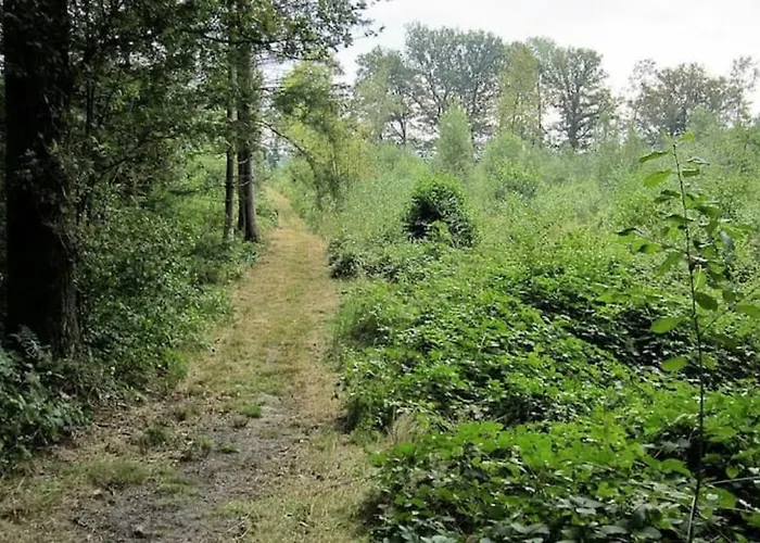 Het Appense Veld * Klarenbeek